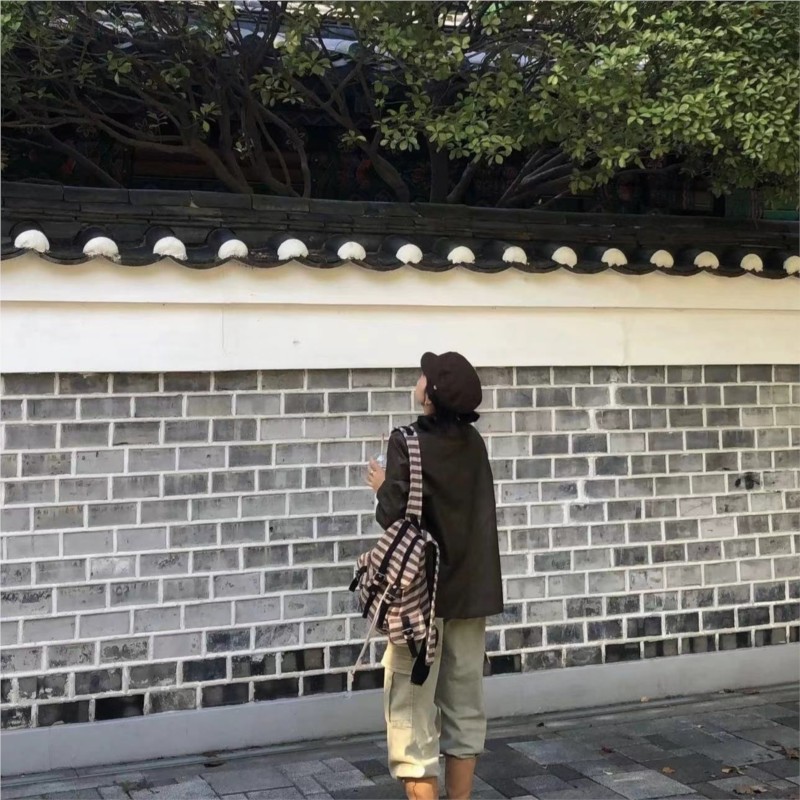 Harajuku Vintage Sırt Çantası  - Women'S Vegan Bags incelemesi ve fiyatı